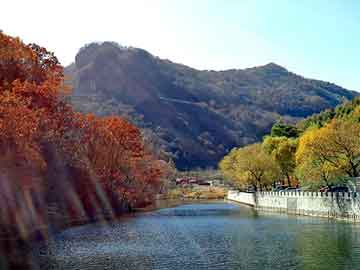 正版澳门天天开彩大全，泡沫板材